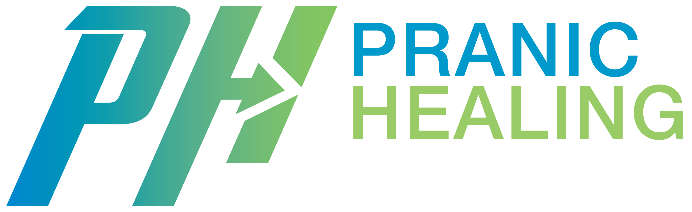 Mega Healing Camp Logo